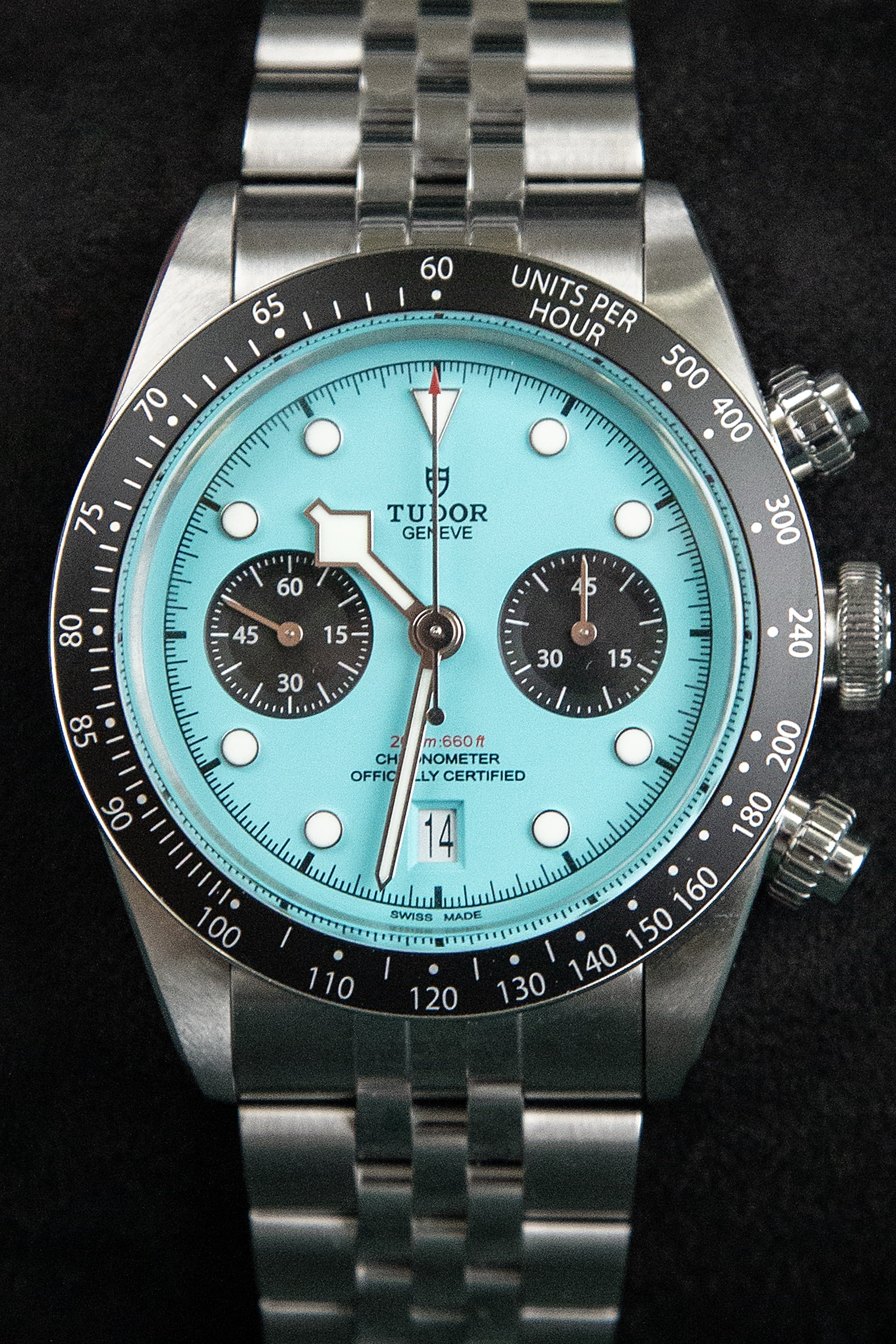 Tudor Flamingo