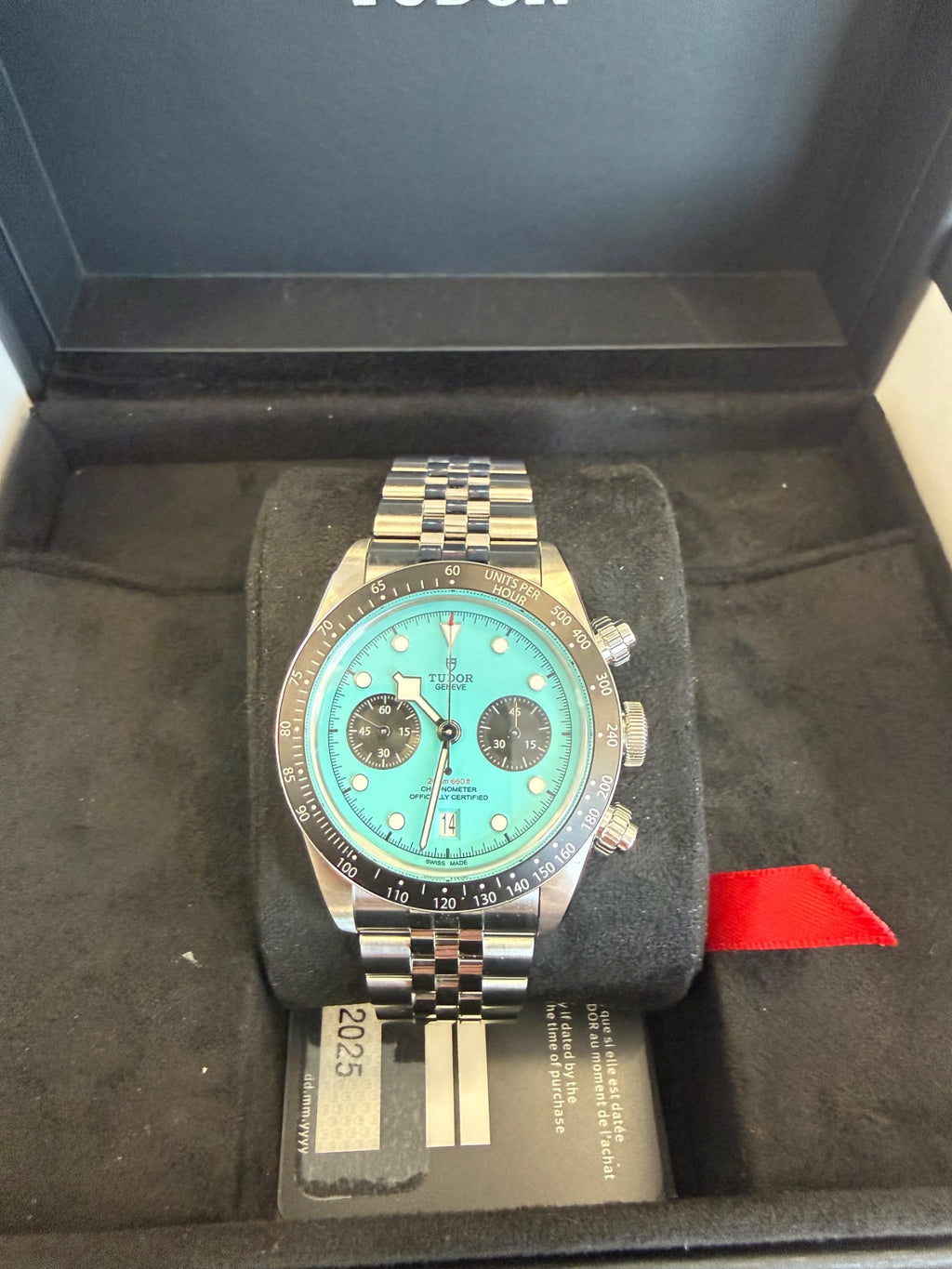 Tudor Flamingo