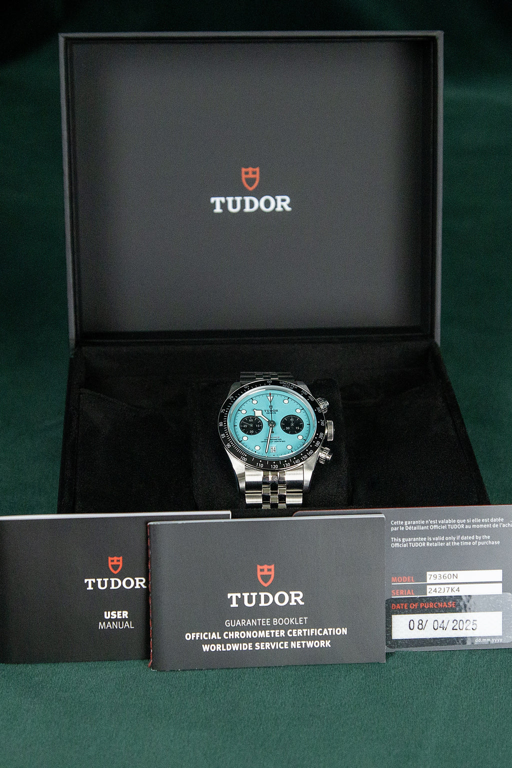 Tudor Flamingo