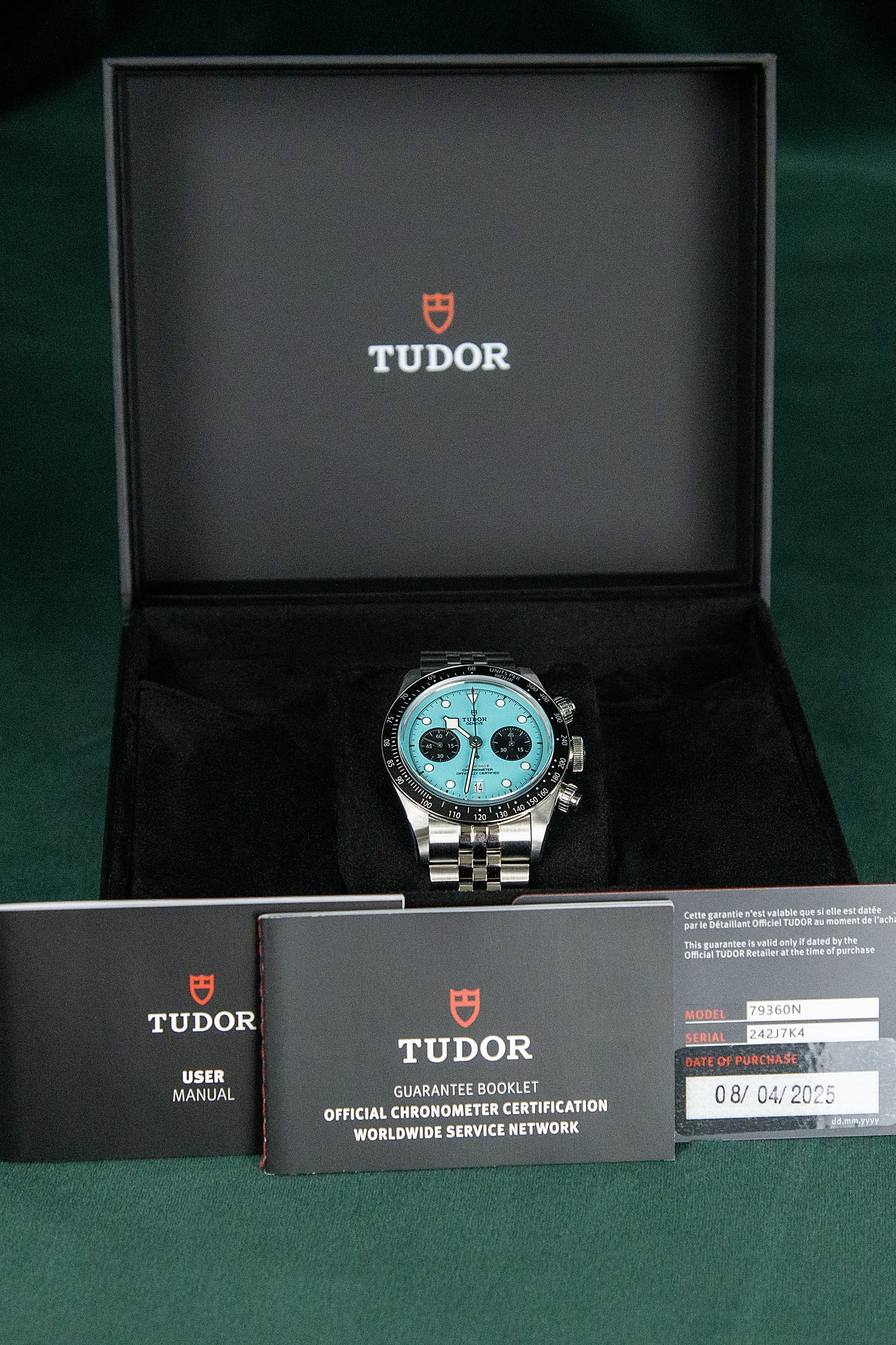 Tudor Flamingo